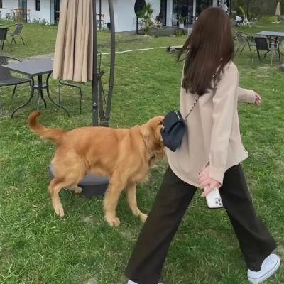 重圆镜